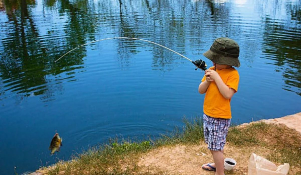 fisher boys drowning in baton rouge off harding blvd