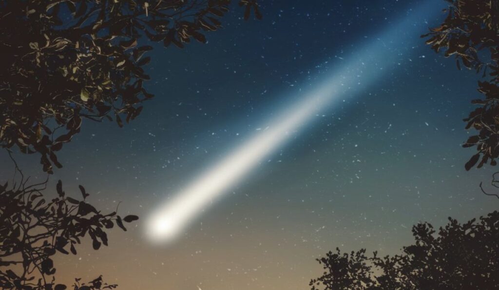 Understanding Comets: The Celestial Wonders in Our Skies