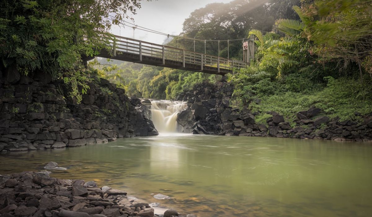 Things to Do in Hilo: A Guide to Exploring the Heart of Big Island